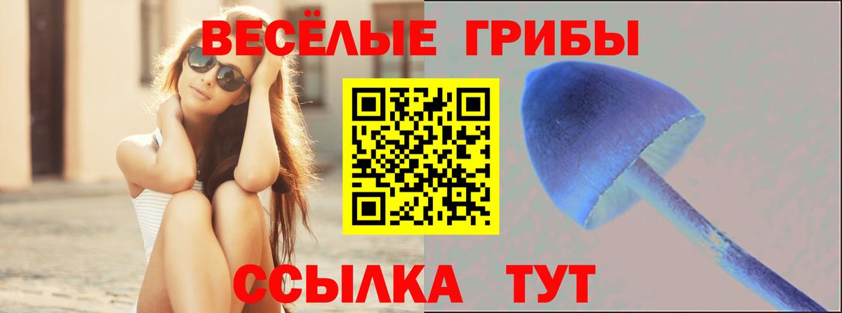 Псилоцибиновые грибы MAGIC MUSHROOMS  Псилоцибиновые грибы GOLDEN TEACHER  Вход с VPN  Среднеуральск 